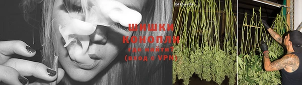 mdpv Горняк