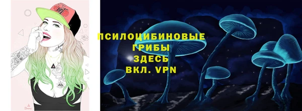 mdpv Горняк