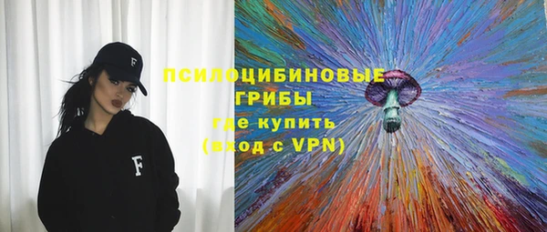 mdpv Горняк