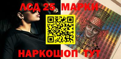 гашик Гатчина