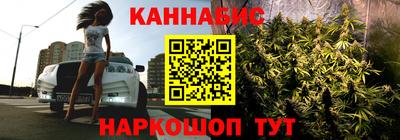 трава Пугачёв