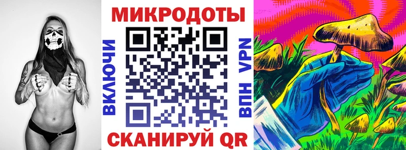 закладка  Коломна  Галлюциногенные грибы Psilocybine cubensis 