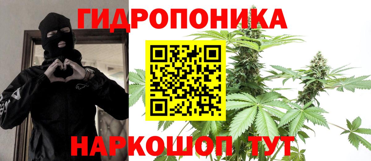 МАРИХУАНА сатива Коломна